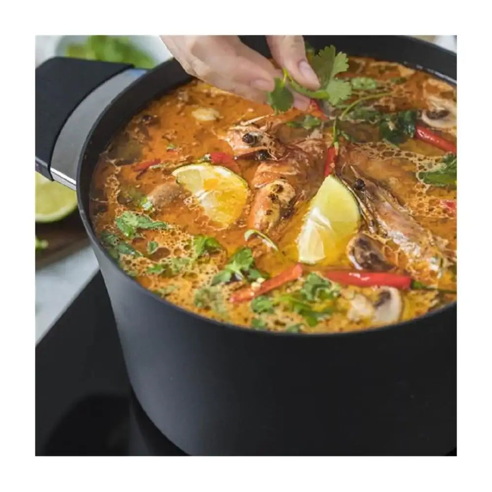 Squality Non-Stick Induction Stock Pot 2.5L