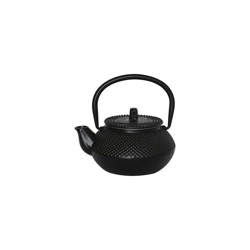 Cast Iron Chinese Teapot Black 300ml