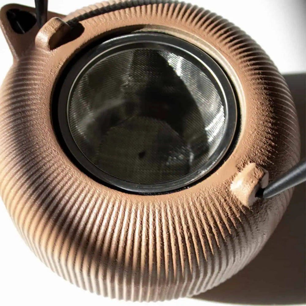 Close up of a teapot strainer insert on a white background
