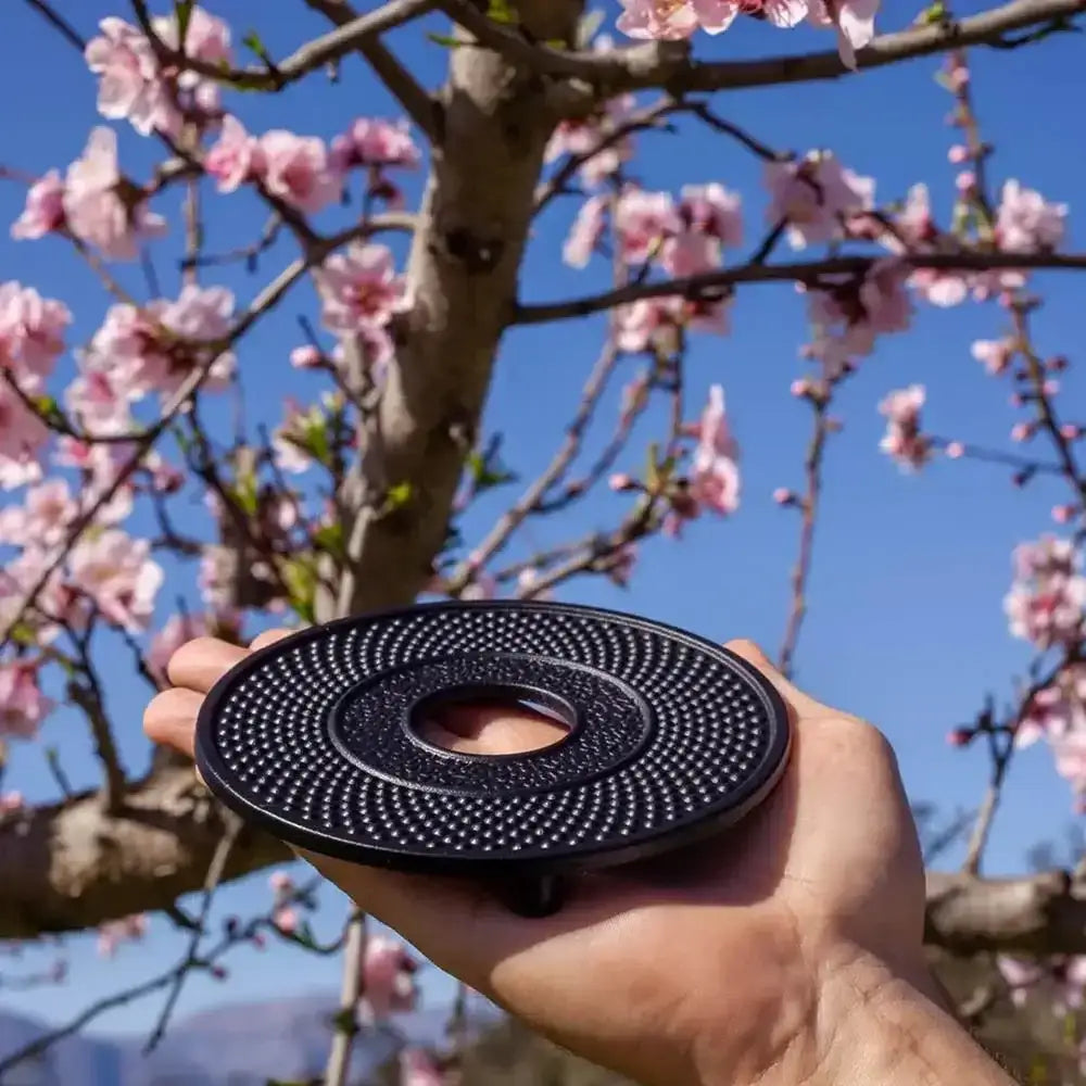 Hand holding a black circular object with floral background