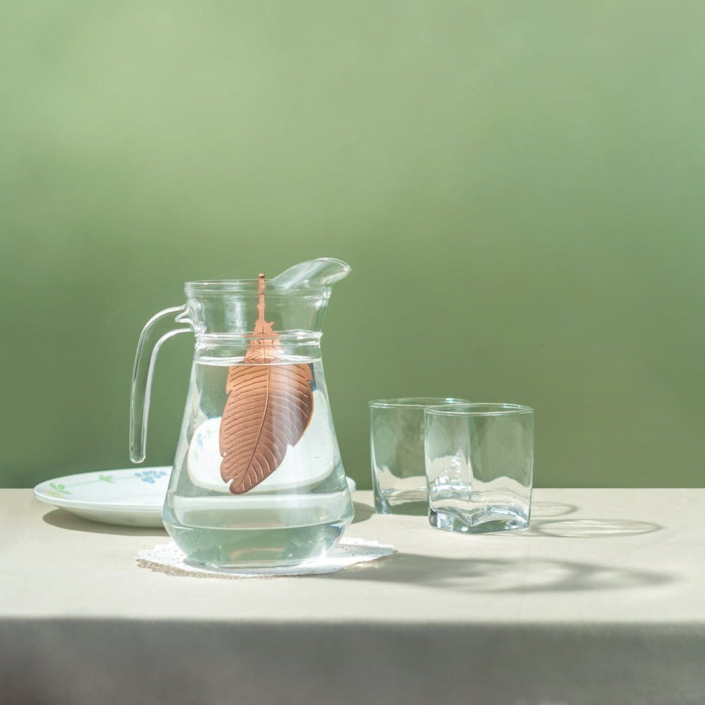A clear glass water carafe with a handle and pouring spout, filled with water and featuring a suspended brown feather float. Two clear drinking glasses sit beside it on a light tabletop against a soft sage green background.
