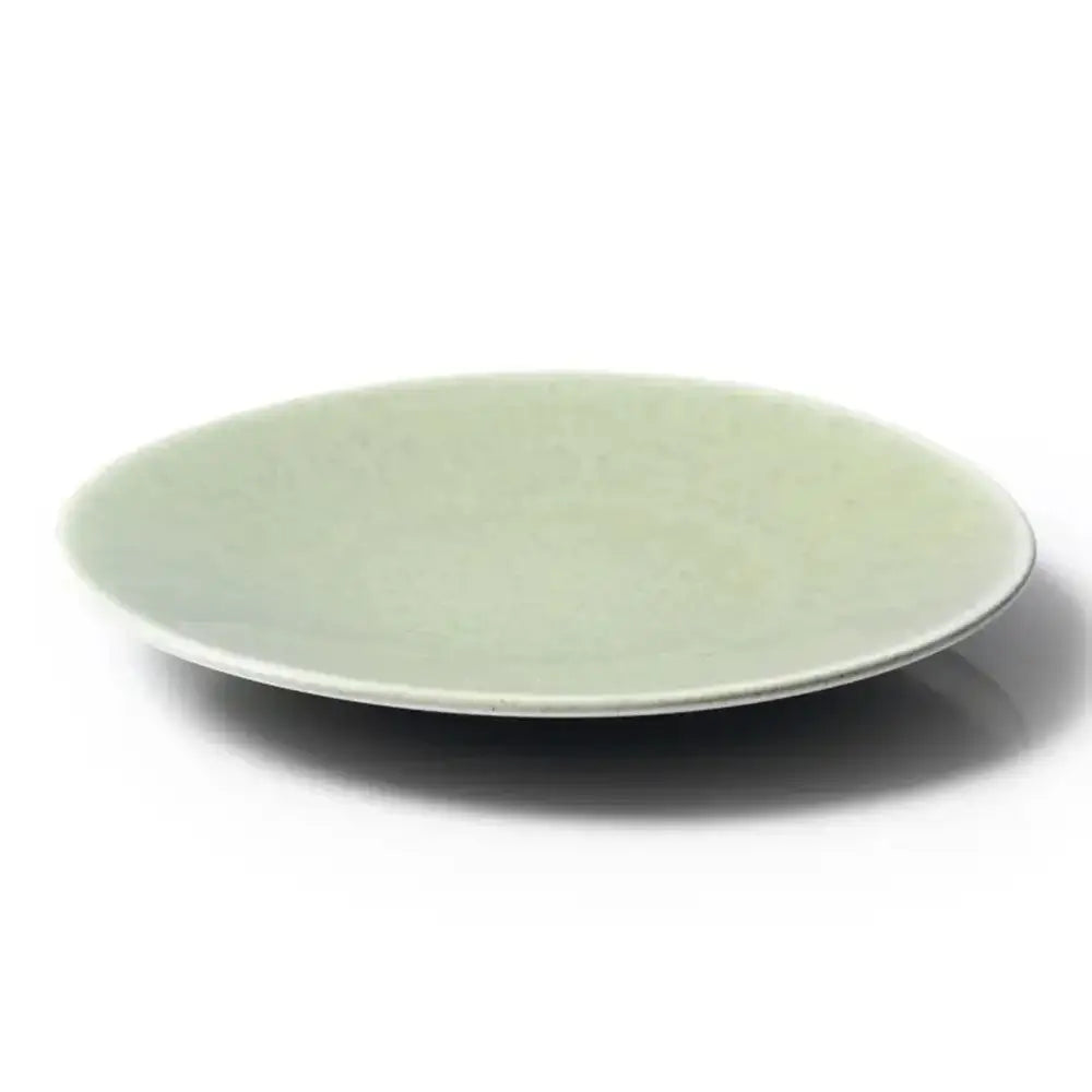 Light green ceramic plate on a white background