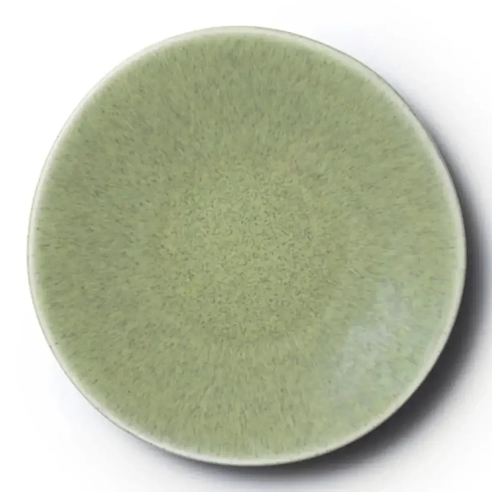 Green ceramic plate on a white background