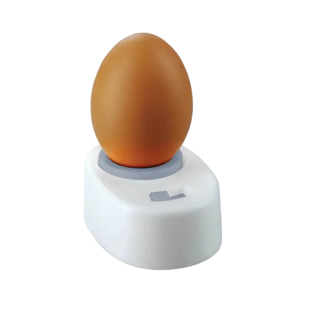 Brown egg on a white base with a gray ring against a white background