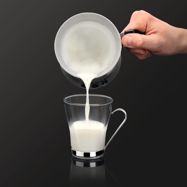Krups Electric Control Milk Frother