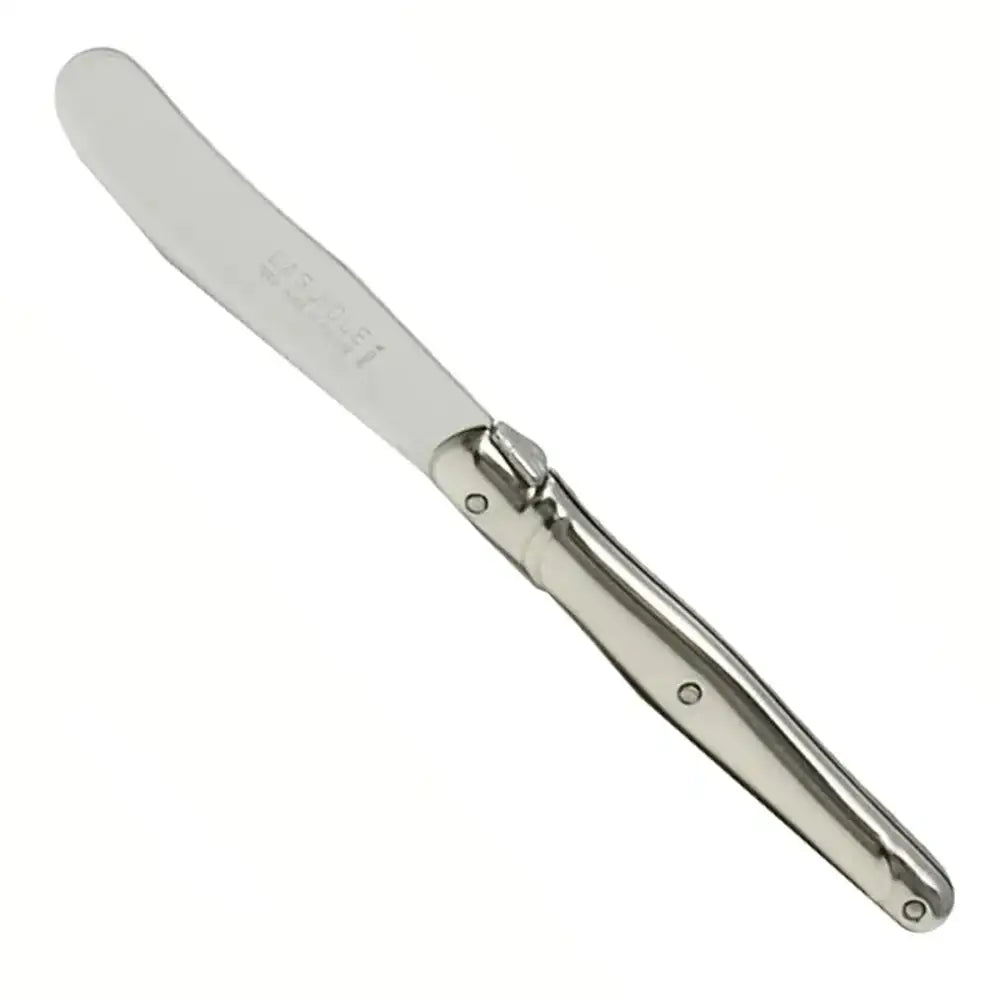 Butter knife with silver handle on a white background