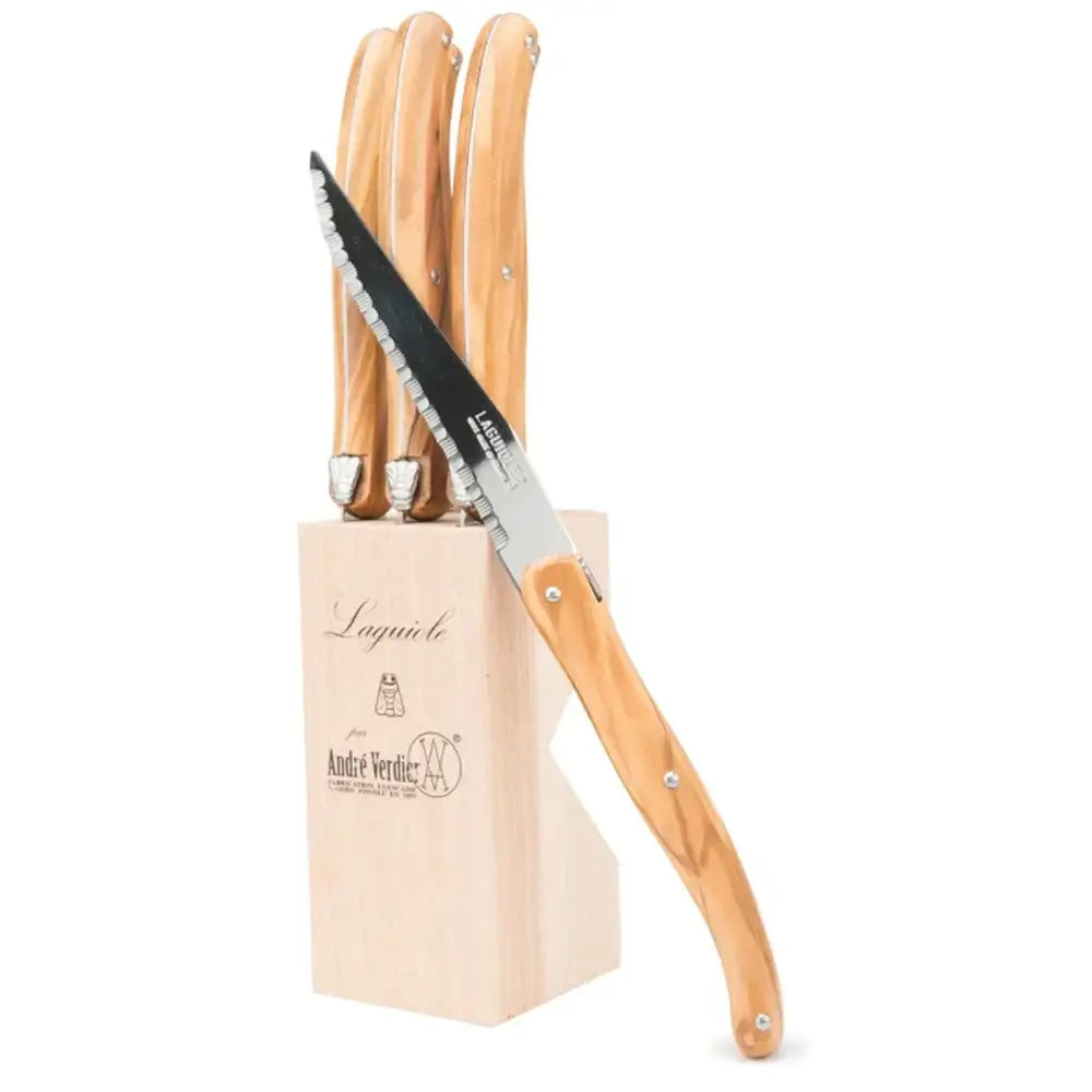 Set of knives with wooden handles on a white background