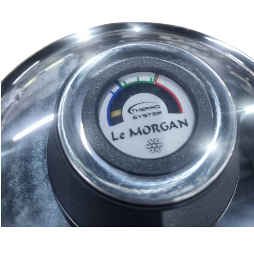 Le Morgan thermosystem logo on a metallic surface