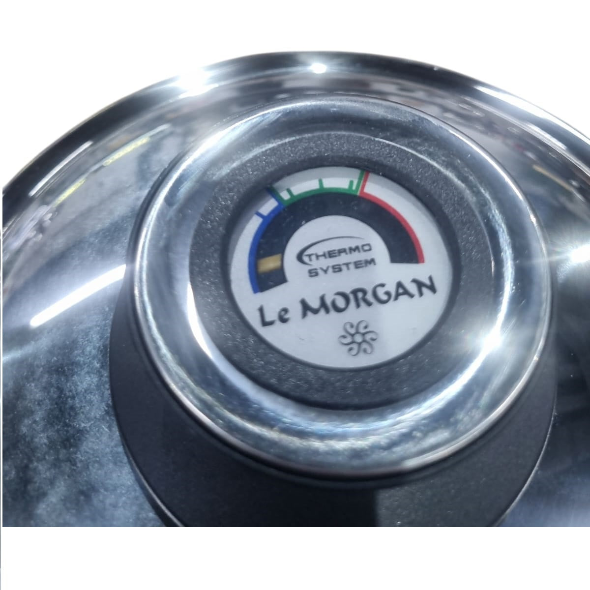 Le Morgan thermosystem logo on a metallic surface