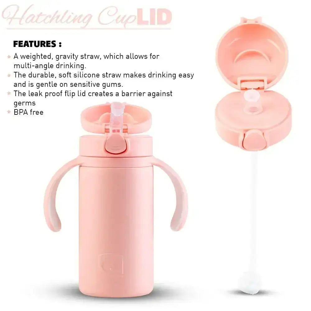 Pink cup with features listed on a white background