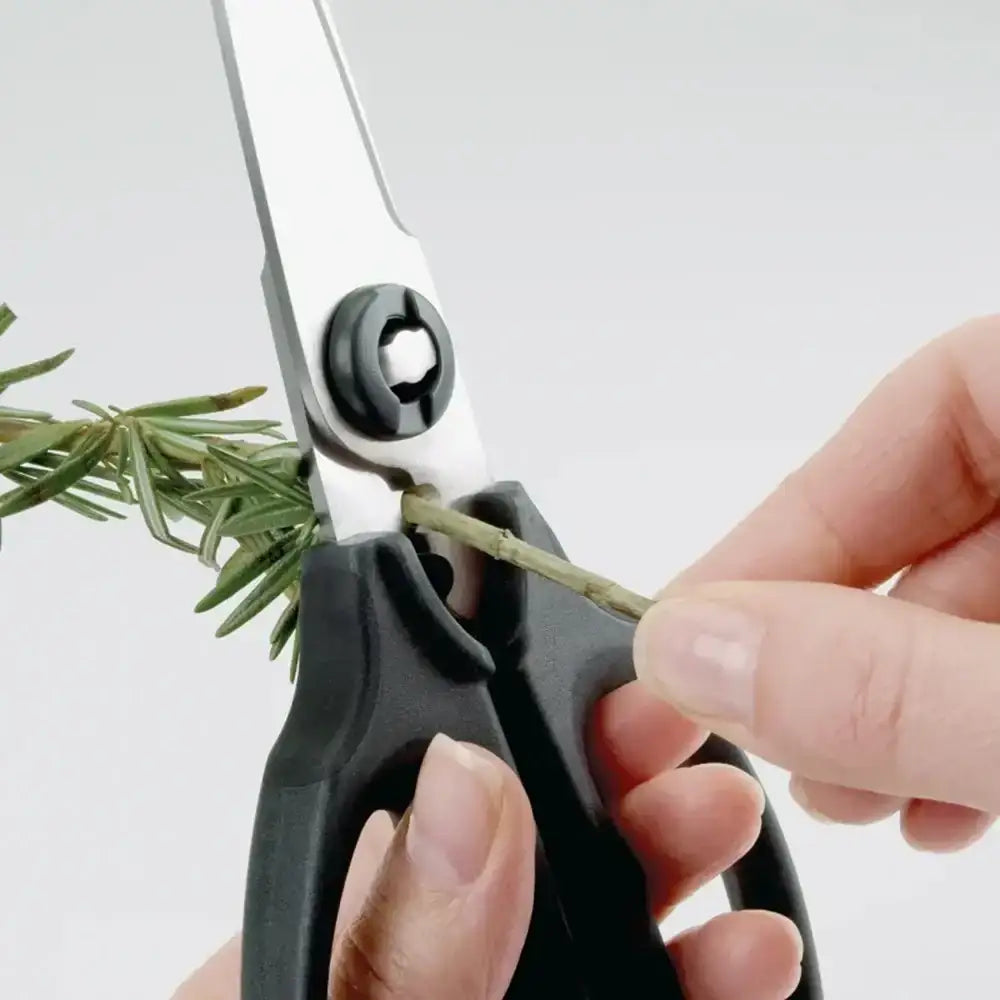 Person using a pair of black-handled scissors to trim a branch against a white background