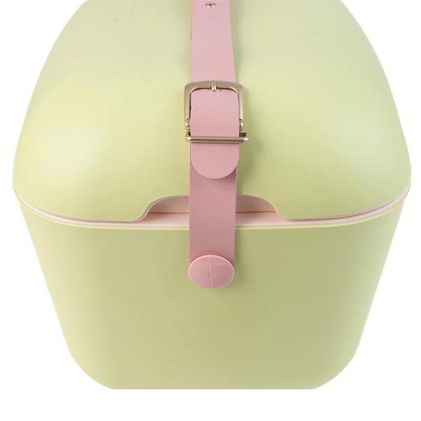 Polarbox Classic Retro Cooler Box Lime Rosa 12L