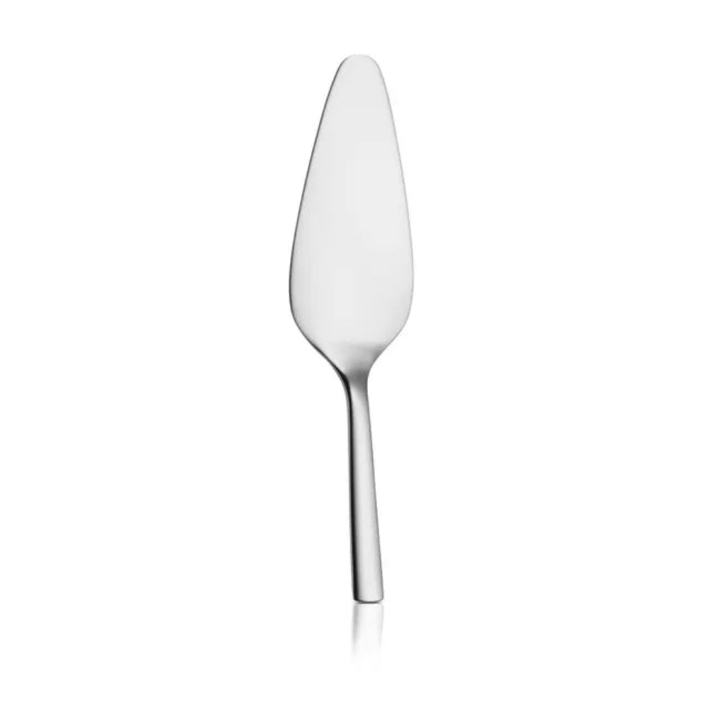 A polished stainless steel cake server with a long handle and a wide, tapered blade, shown vertically against a plain white background.
