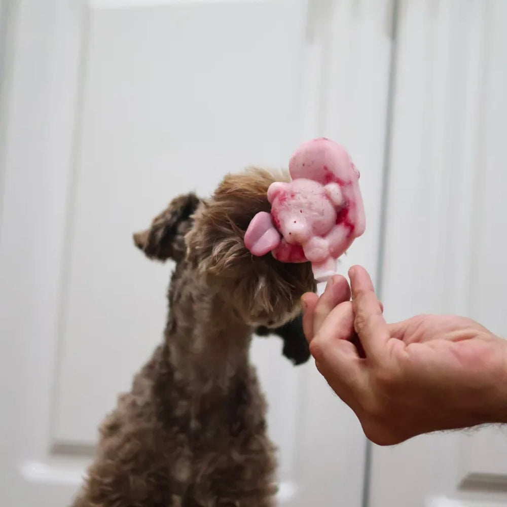 ZOK Ice Pop Mold Cat & Dog Set 4