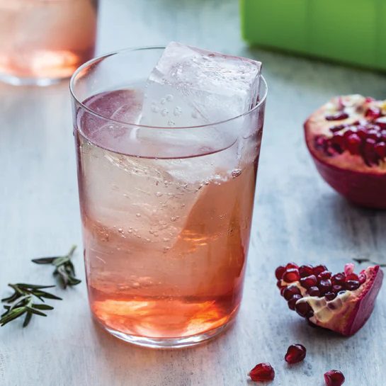 Zoku Jumbo Silicone Ice Trays with Lids Set of 2