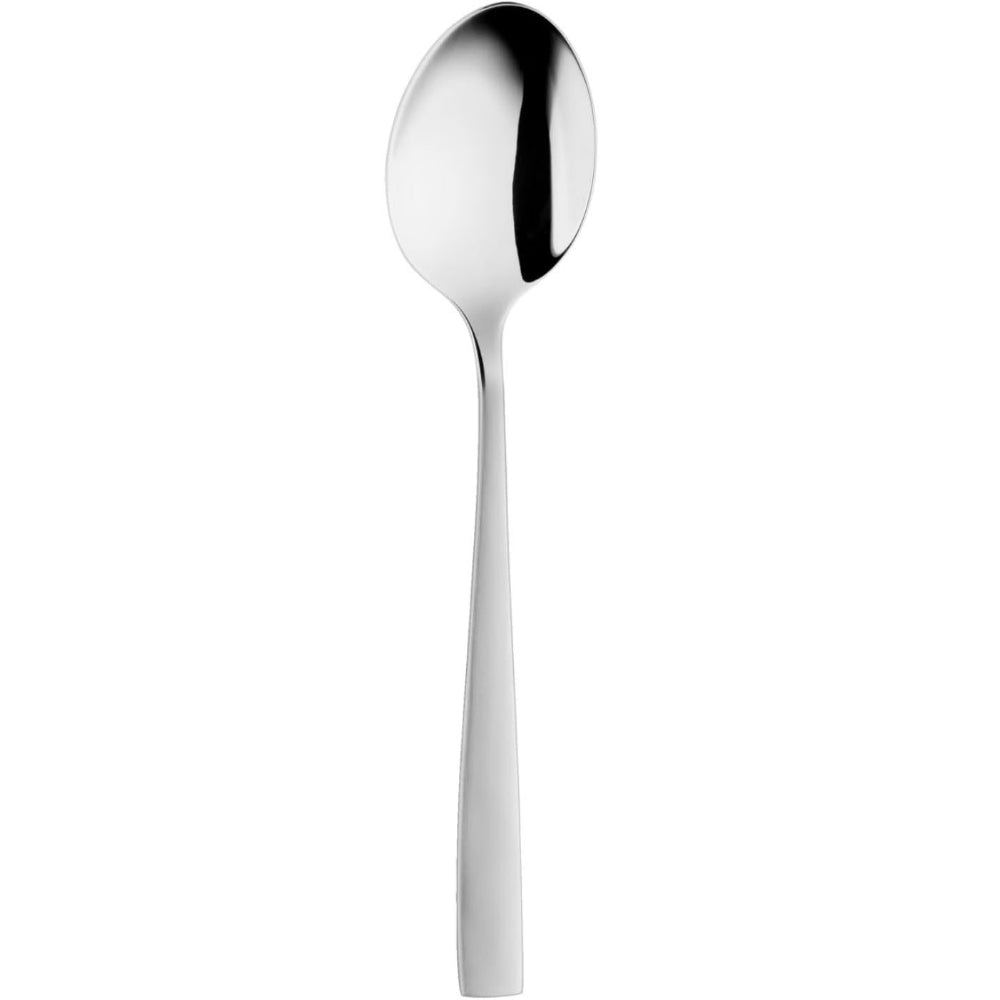 A single polished stainless steel spoon with a long handle, shown vertically against a solid white background.