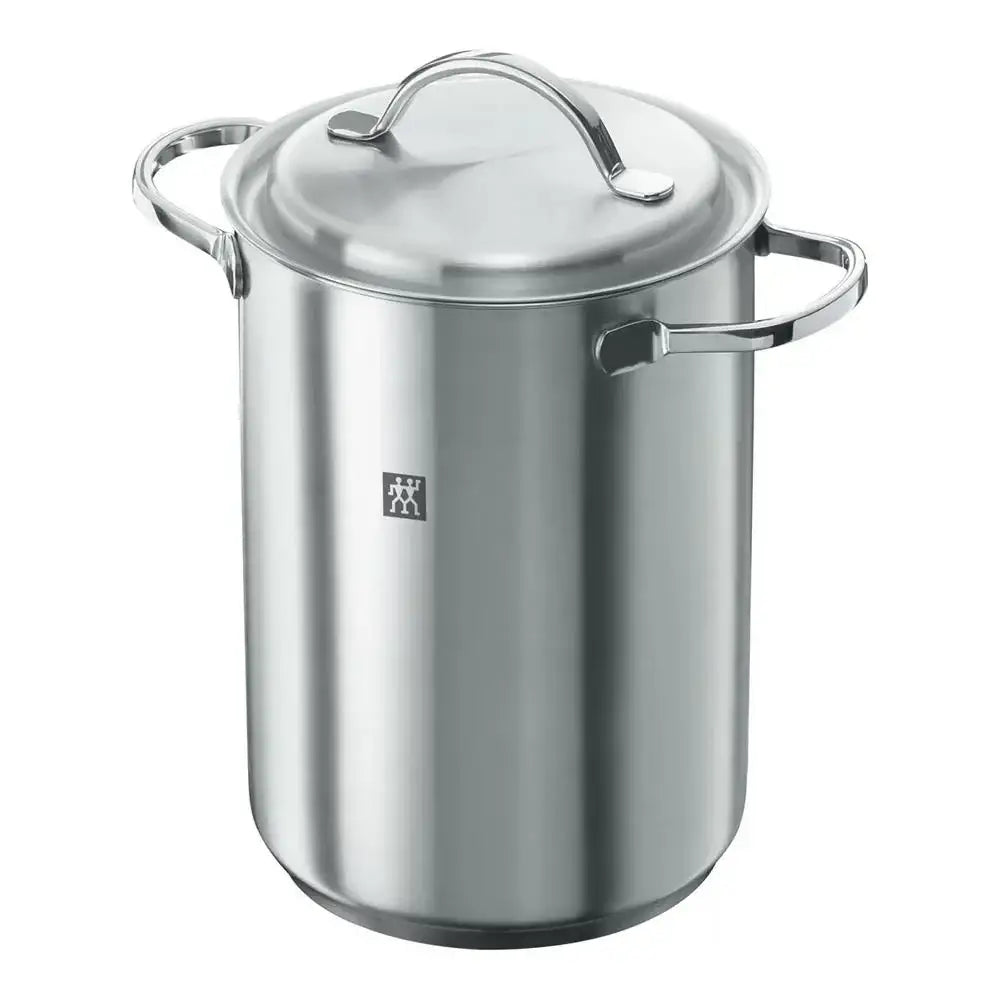 Stainless steel pot with lid on a white background
