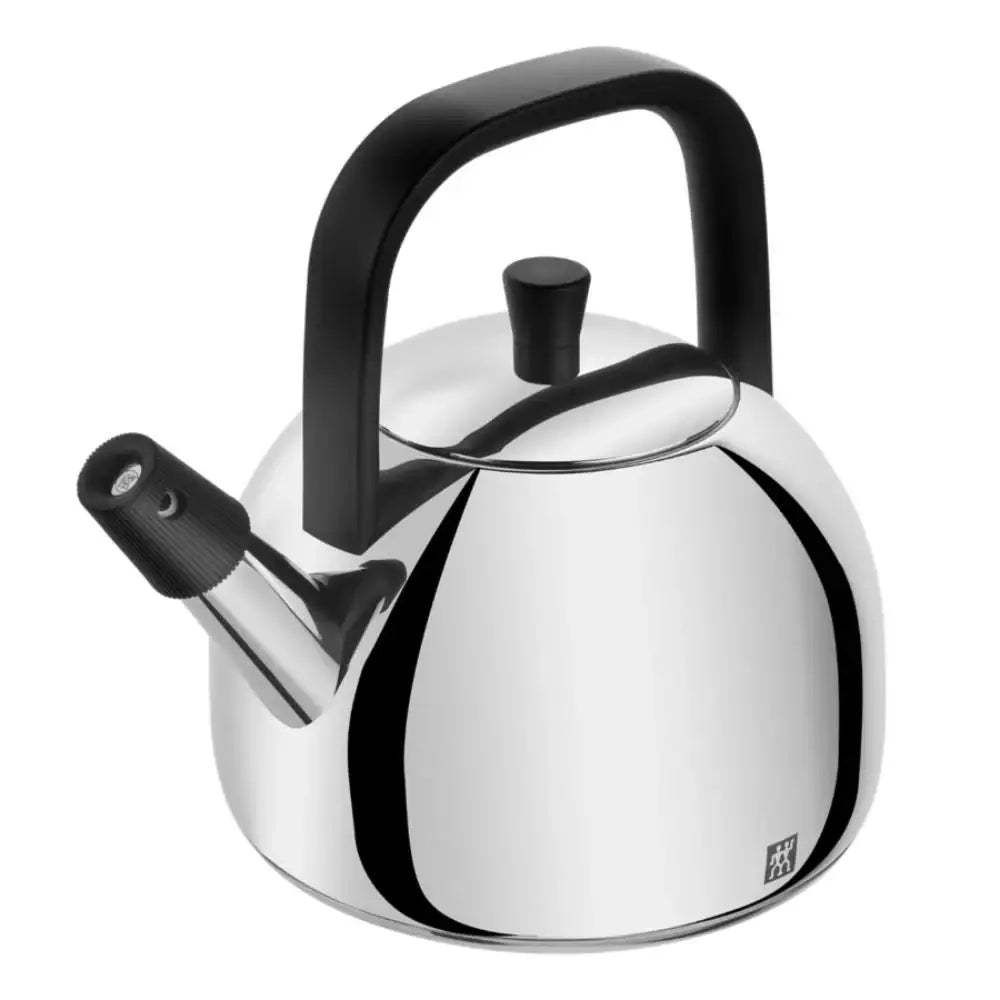 Stainless steel kettle with black handle on a white background