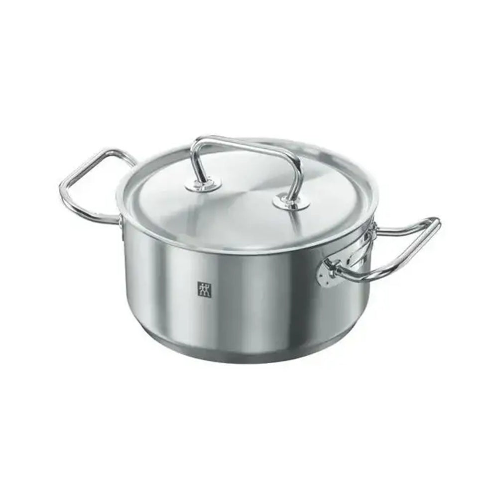 Stainless steel pot with lid on a white background
