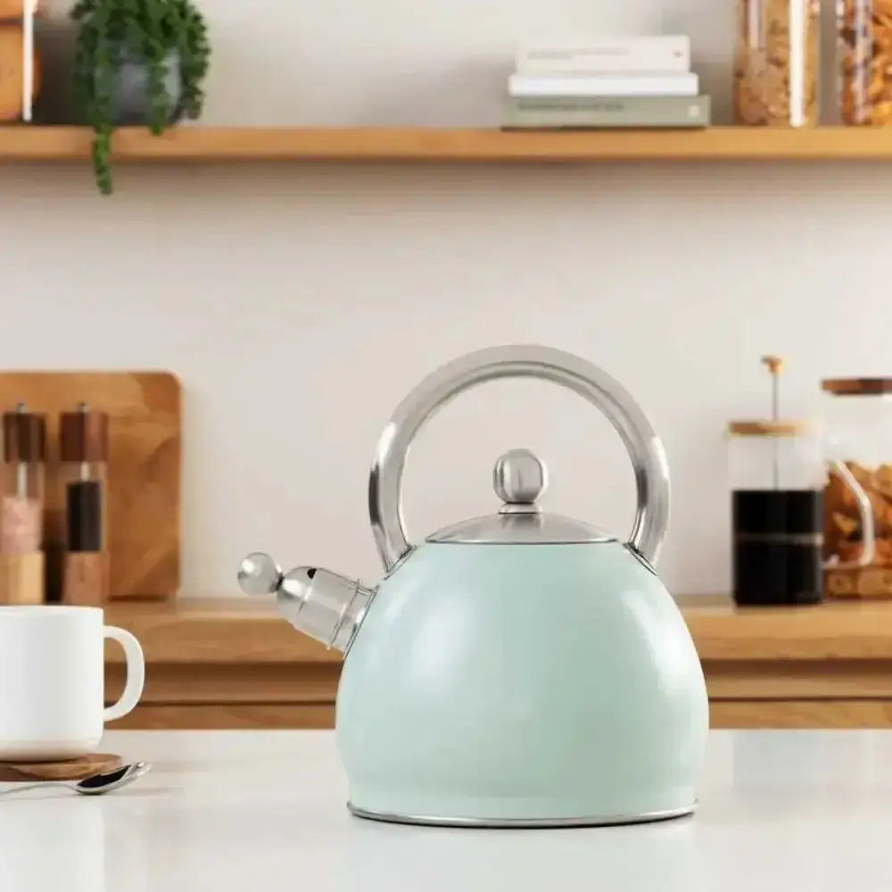 Mint green kettle on a kitchen counter with a shelf in the background