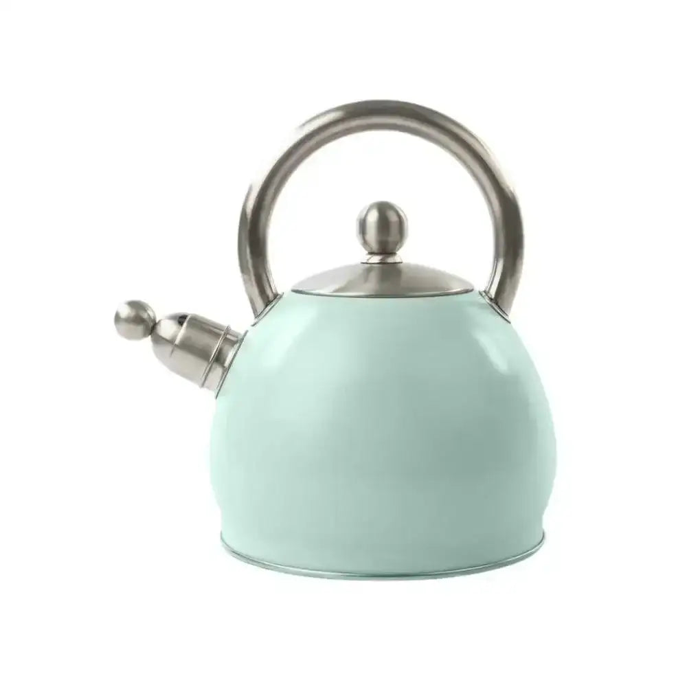 Mint green kettle with silver handle and spout on a white background