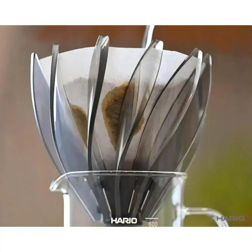 Hario coffee filter with ground coffee in a clear container