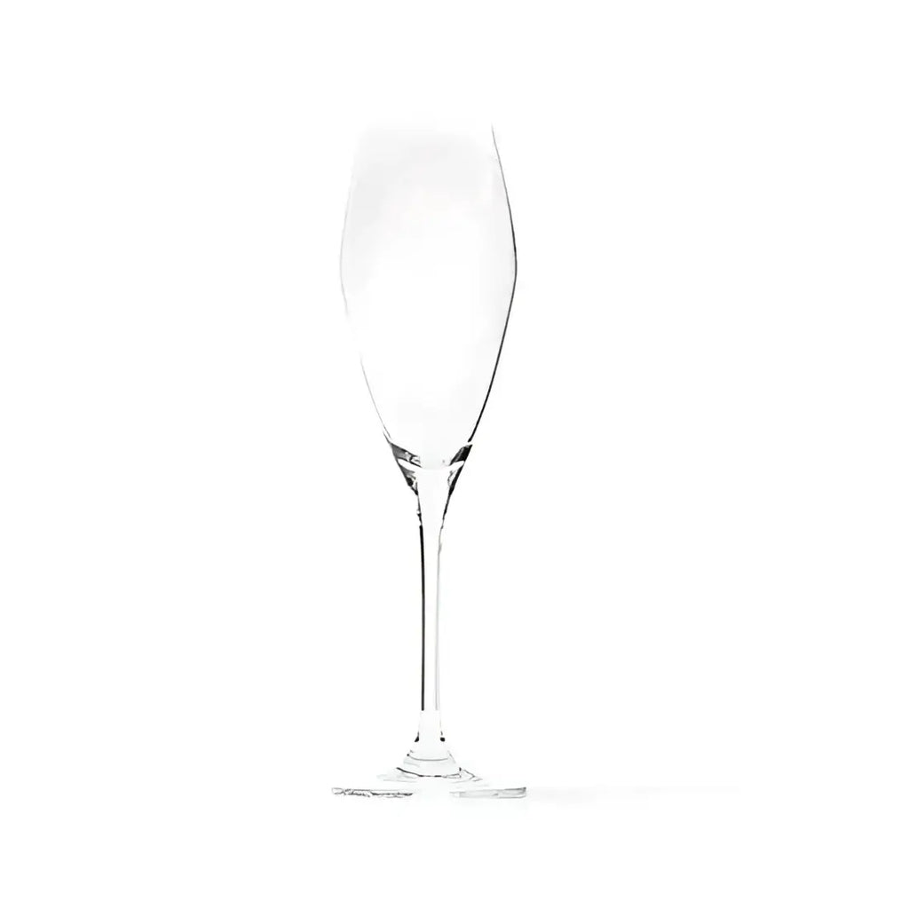 Clear wine glass on a white background