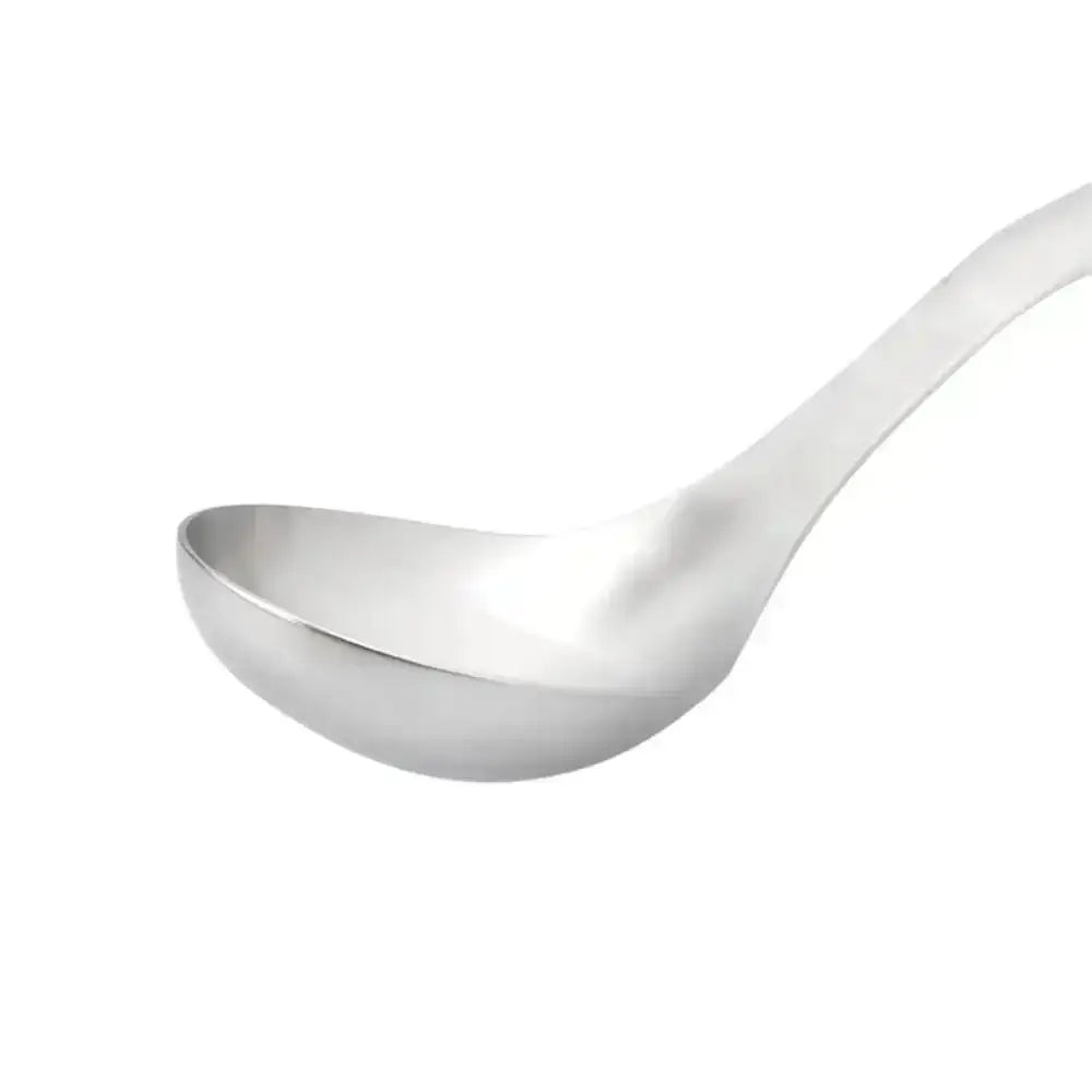 Stainless steel ladle on a white background