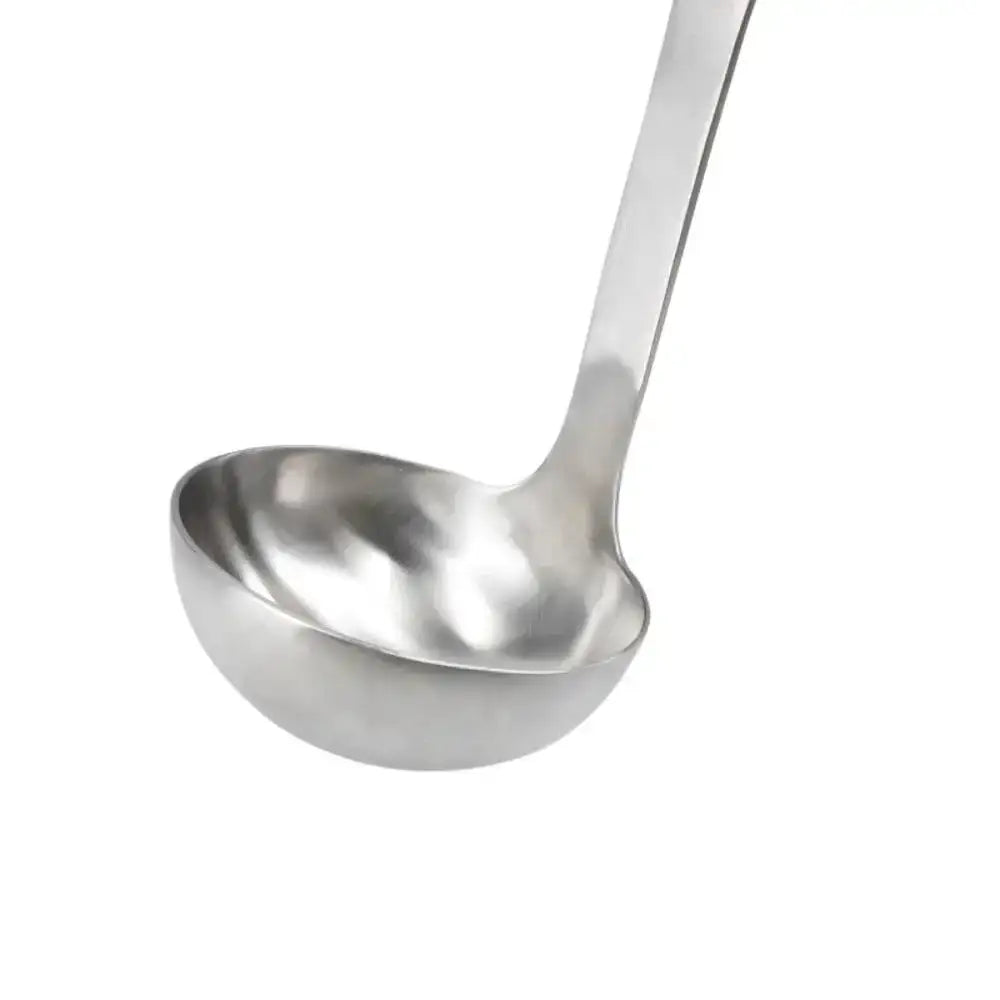 Stainless steel ladle on a white background