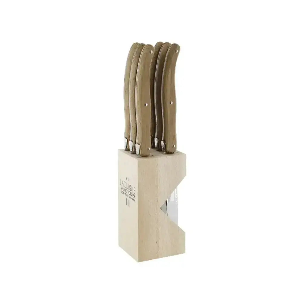 Set of knives with wooden handles in a block on a white background