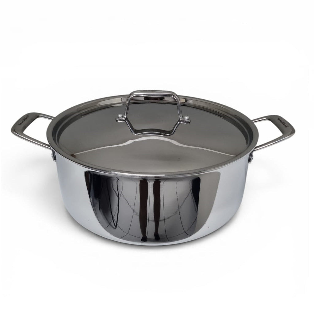 Stainless steel pot with lid on a white background