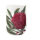 Maxwell & Williams Royal Botanic Gardens Mug Telopea 300ml