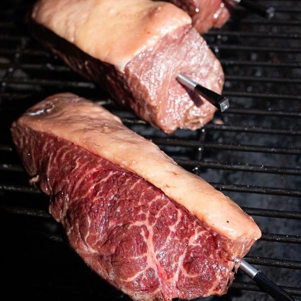 MET Meat Thermometer S/Wireless Plus 50m