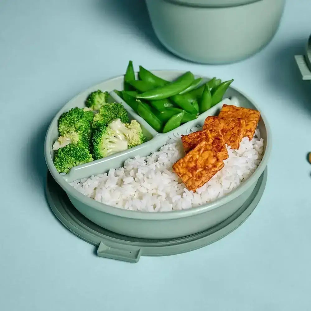 Bento box with rice, vegetables, and tofu on a light blue background
