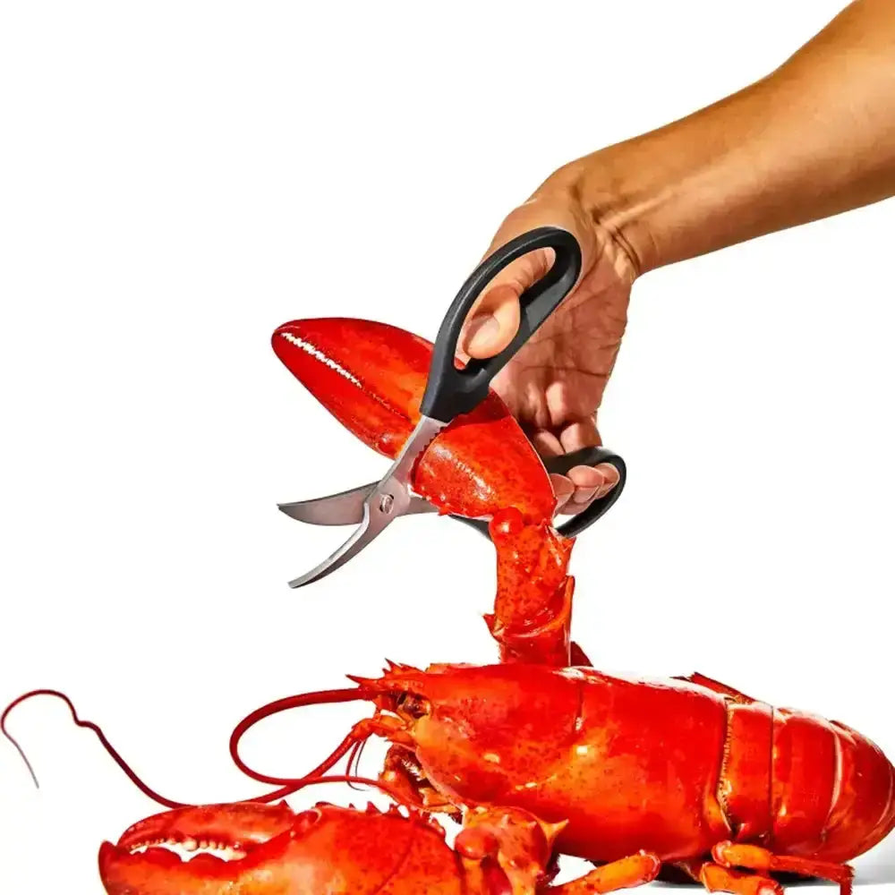 Person using kitchen shears to cut a red lobster on a white background
