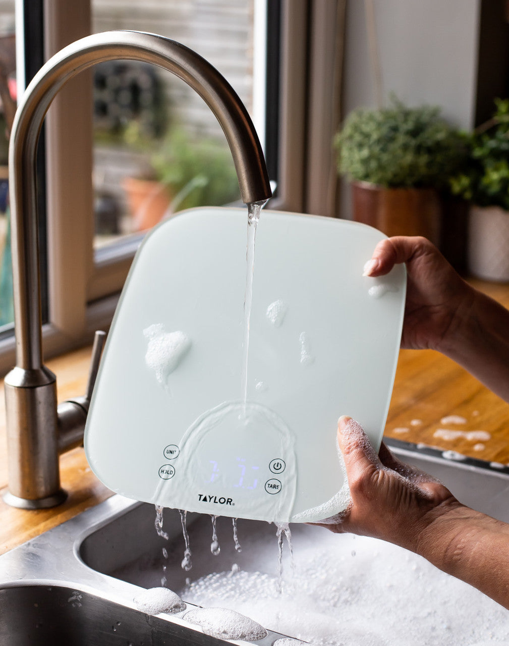 Taylor Pro Waterproof Digital Dual Scale 14kg