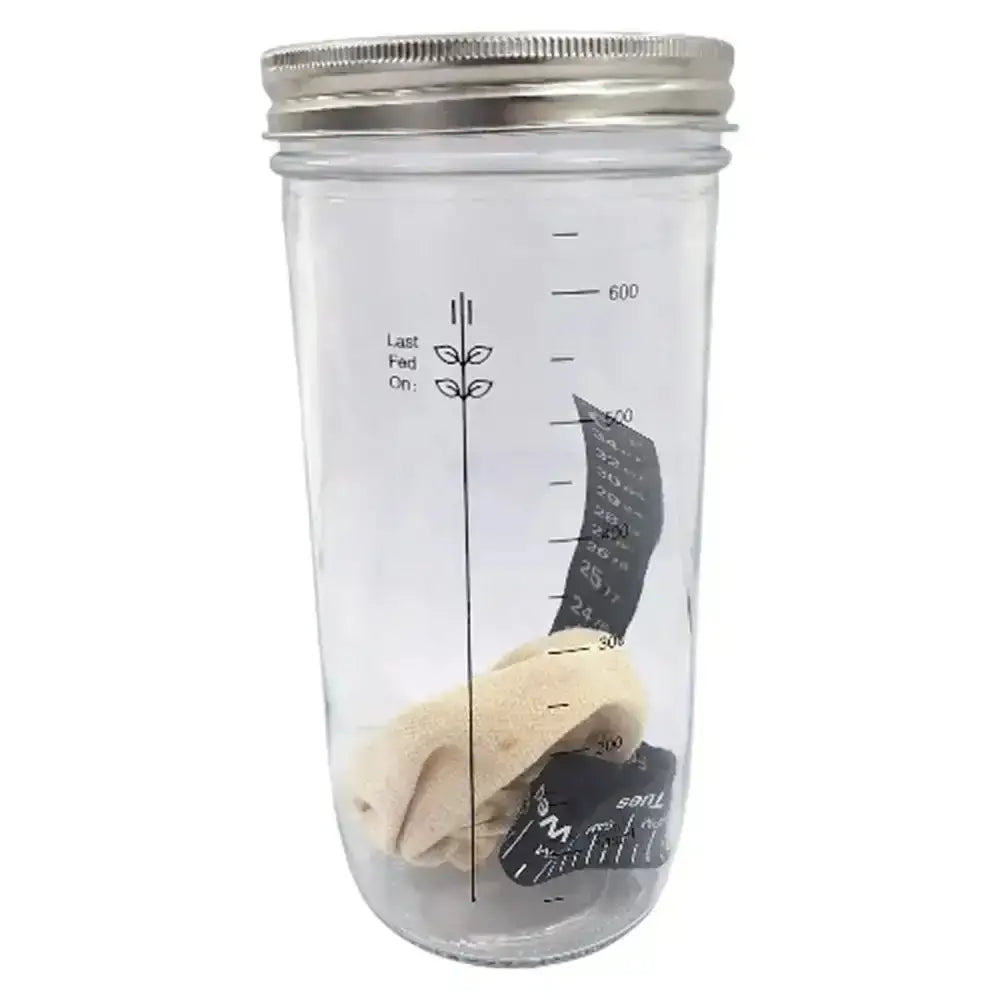 Clear glass Regent sourdough starter jar kit with silver metal lid and side measurement markings 730ml capacity