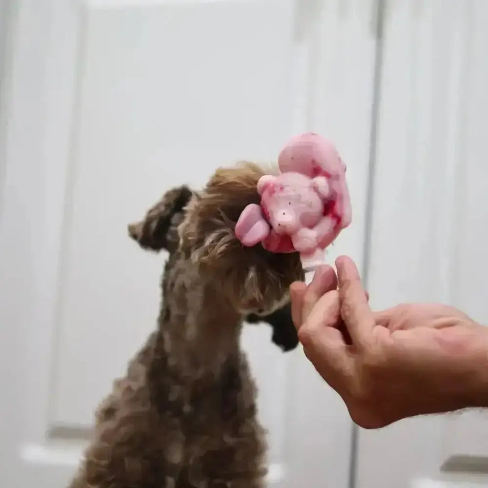 Dog looking at a pink toy held by a person against a white background