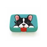 Crunchbox Classic 5 Compartment Lunchbox Aqua - Image 6